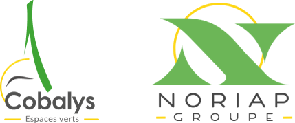 Cobalys Noriap